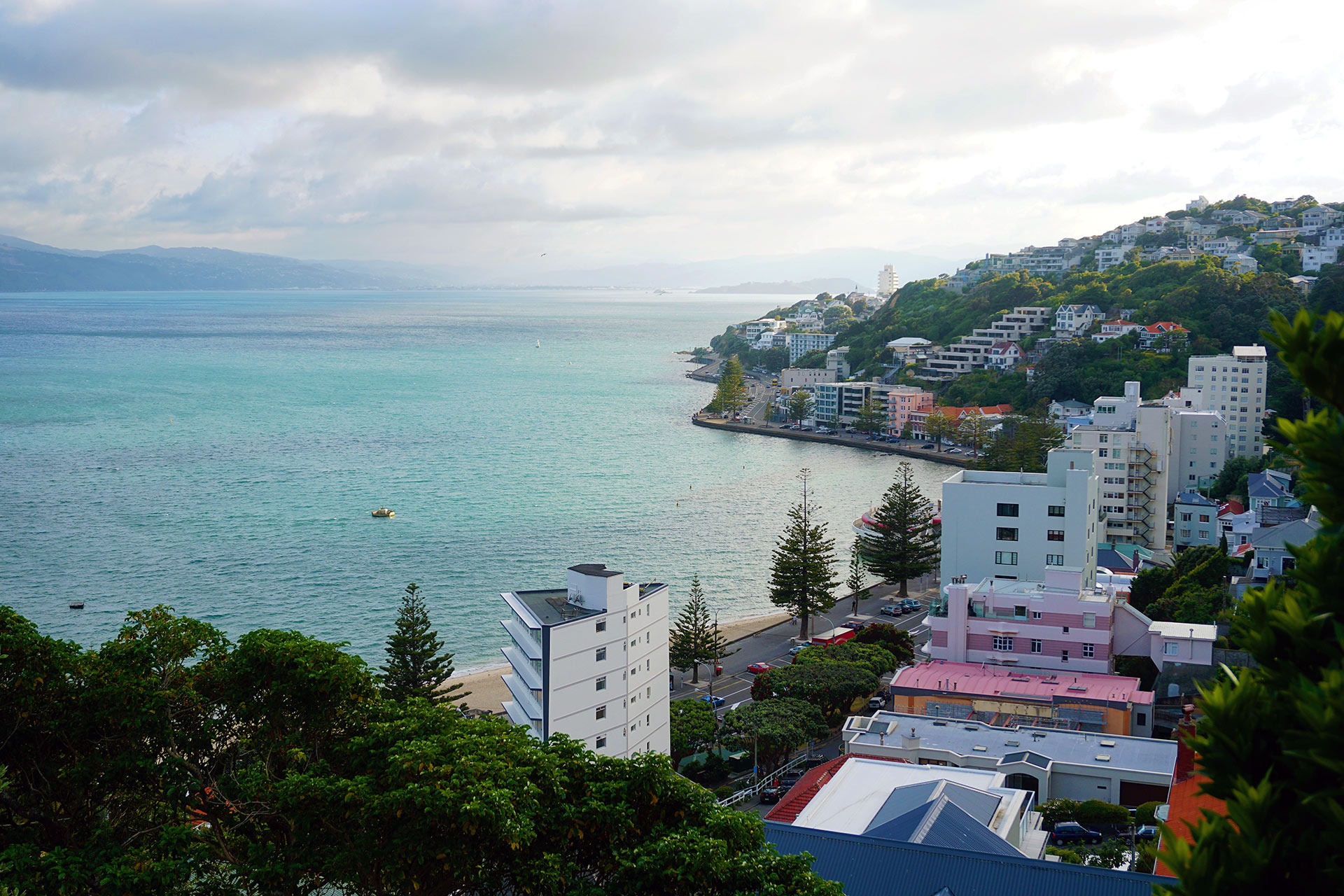 Looking down from a view point at Wellington city and the beach.