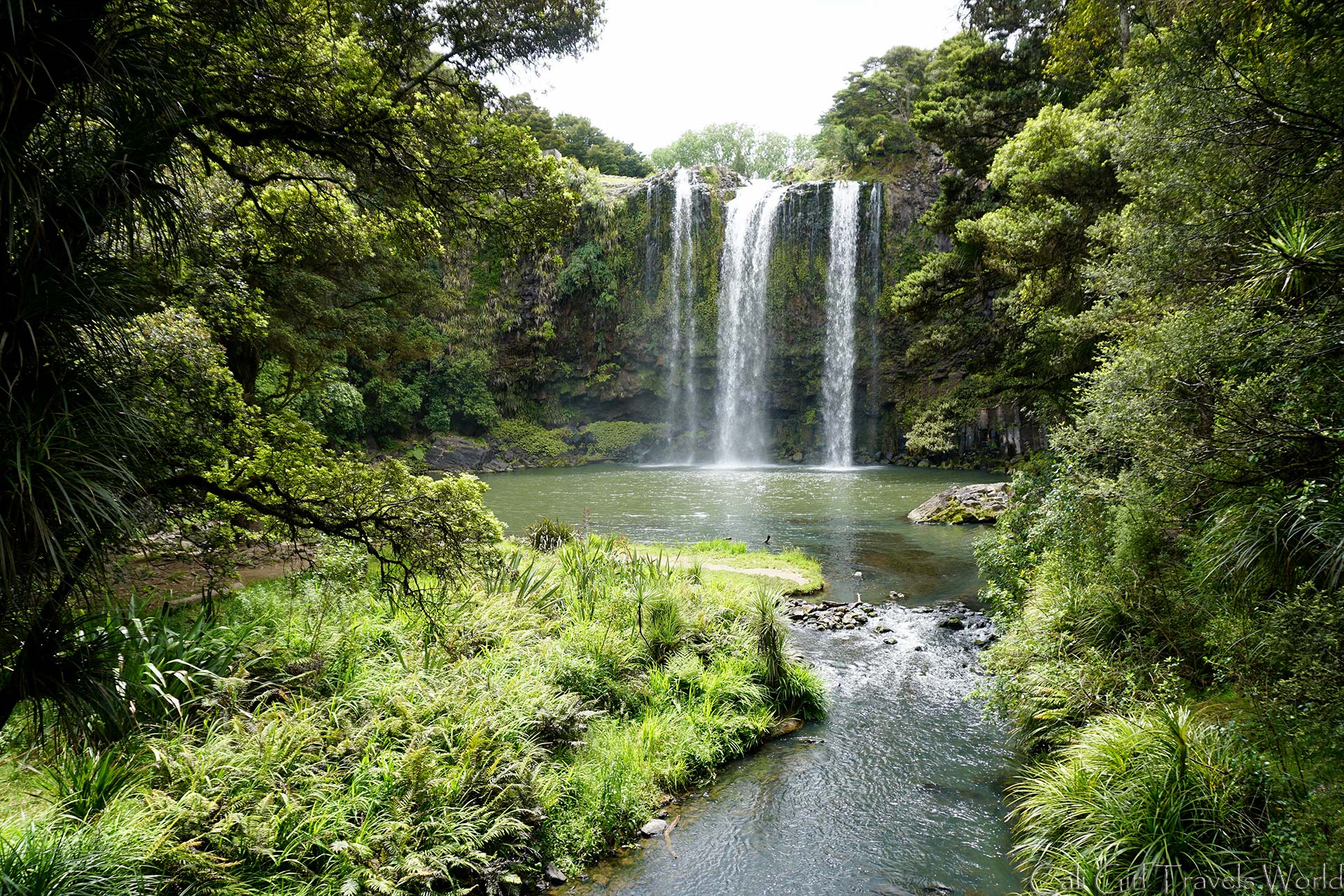 The perfect view of the Whangarei Waterfall in Northland, North Island, New Zealand.