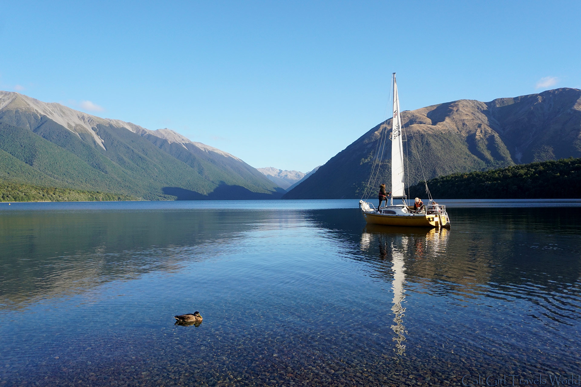 Looking out onto Rotoiti Lake watching a sail boat and a duck pass by the mountains in Nelson Lakes National Park in the South Island of New Zealand.