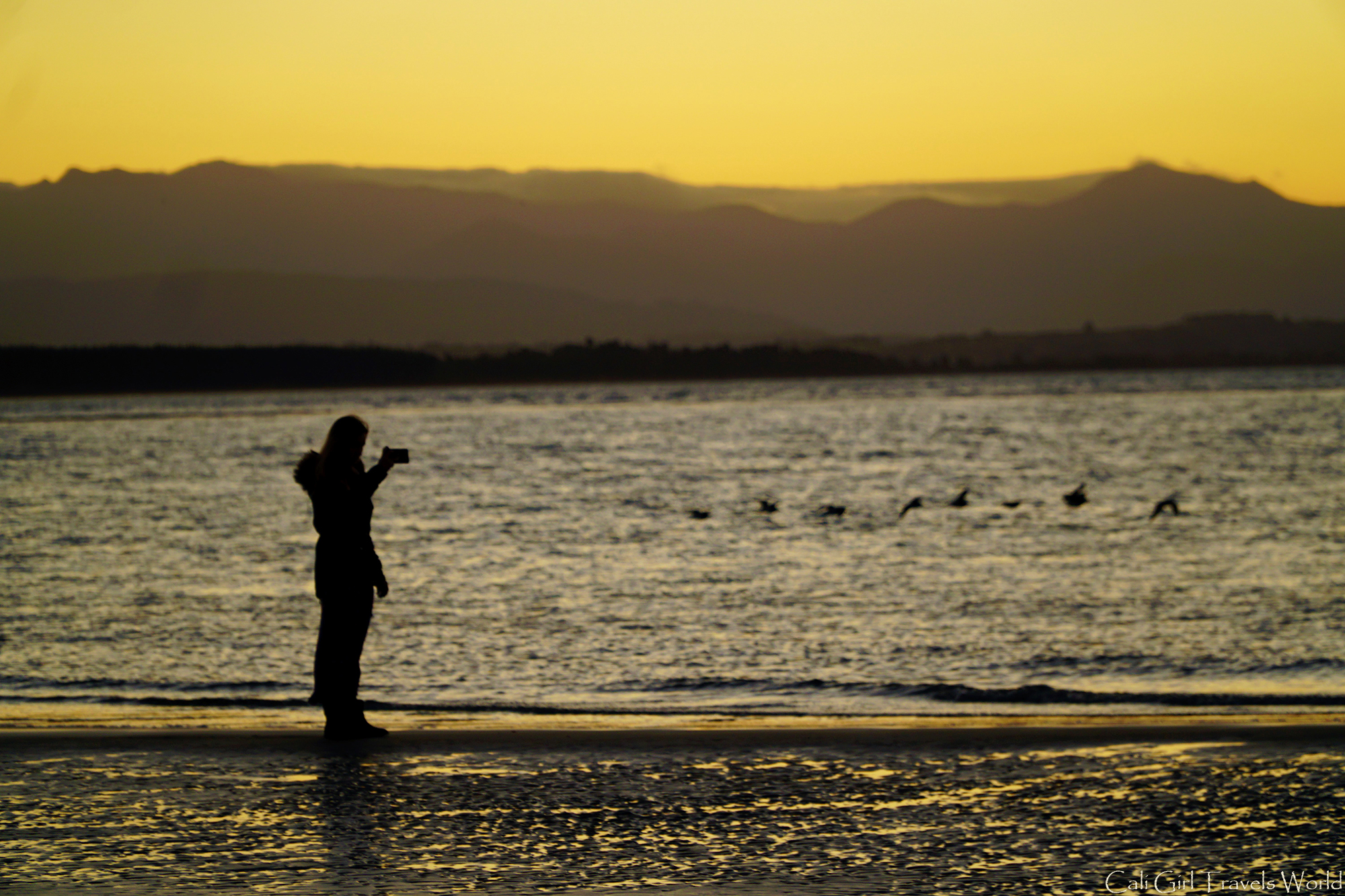 Travel-And-Live-Without-A-Smartphone-Cali-Girl-Travels-World-NZ Taking a photo with a smartphone of birds flying across a sunset in Nelson, New Zealand